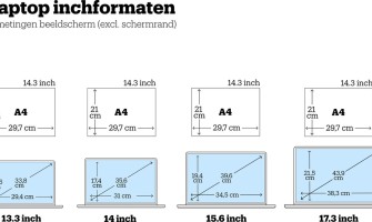 Beelschermresolutie