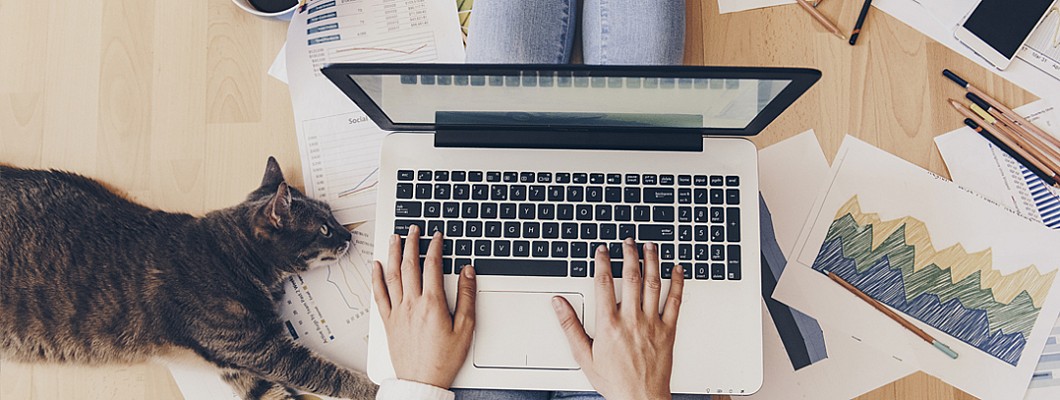 Beste thuiswerk laptop